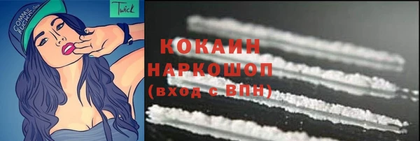 индика Богородицк