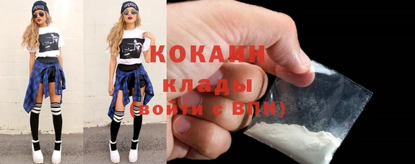 индика Богородицк