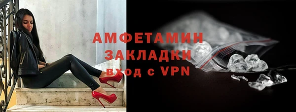 индика Богородицк