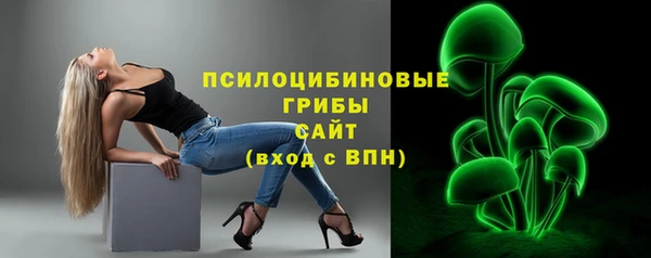 индика Богородицк