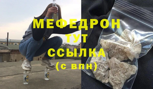 индика Богородицк