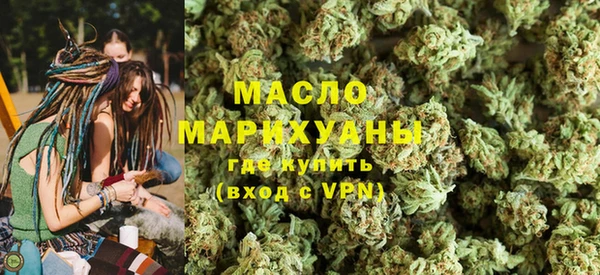 индика Богородицк
