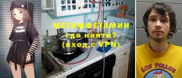 индика Богородицк