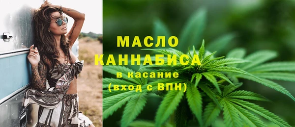 индика Богородицк