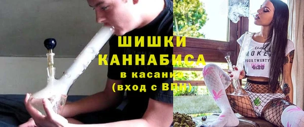 индика Богородицк